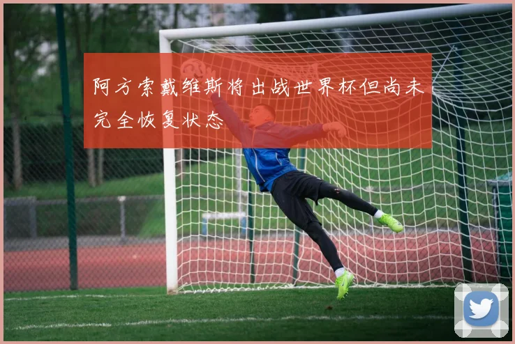 阿方索戴维斯将出战世界杯但尚未完全恢复状态