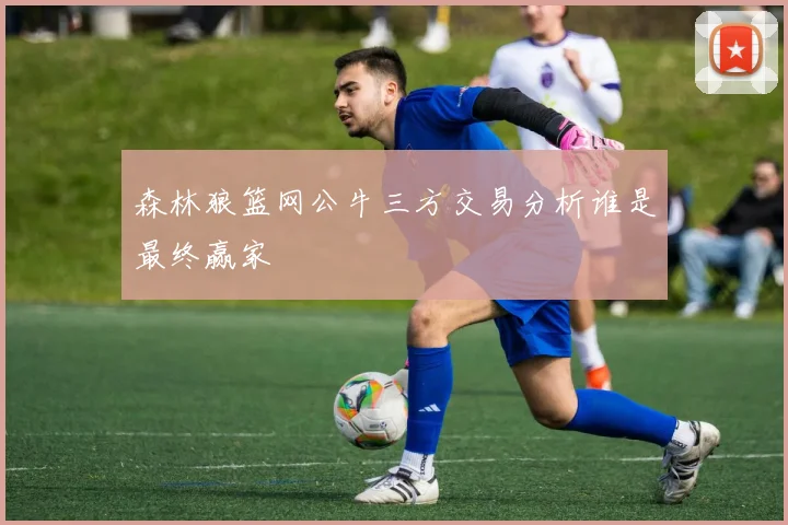 森林狼篮网公牛三方交易分析谁是最终赢家