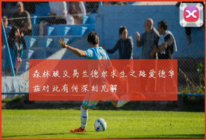 森林狼交易兰德尔求生之路爱德华兹对此有何深刻见解