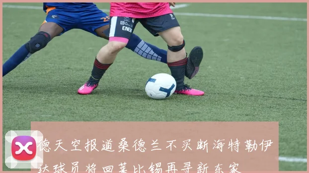 德天空报道桑德兰不买断海特勒伊达球员将回莱比锡再寻新东家